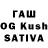 Галлюциногенные грибы Cubensis Ayo Keito