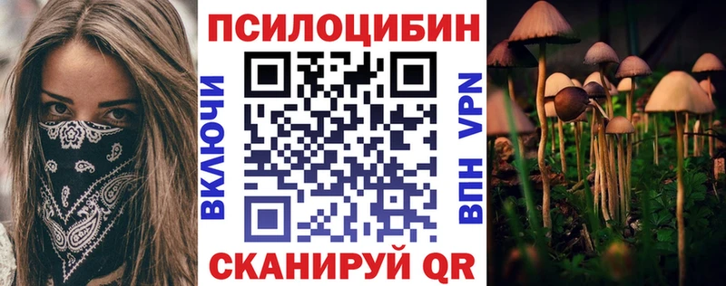 OMG как зайти  наркота  Ставрополь  Псилоцибиновые грибы прущие грибы 